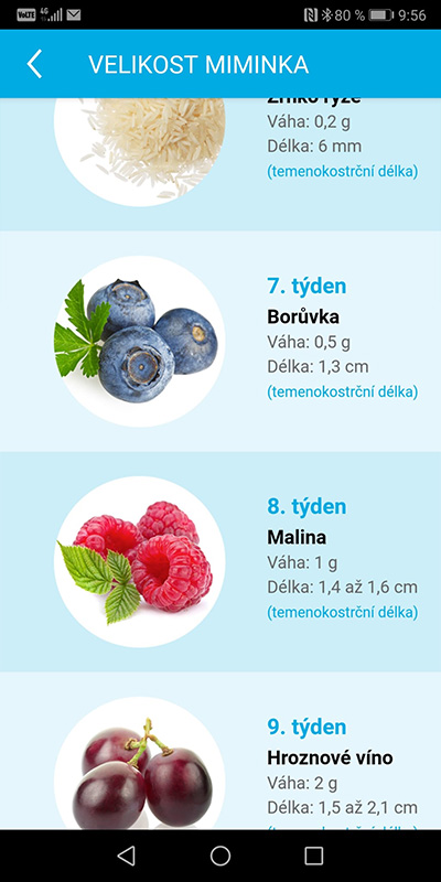 Ukázka aplikace Zdraví v mobilu – Velikost miminka
