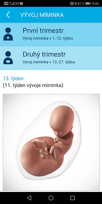 Ukázka aplikace Zdraví v mobilu – Vývoj miminka